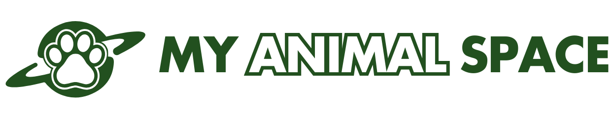 MyAnimalSpace
